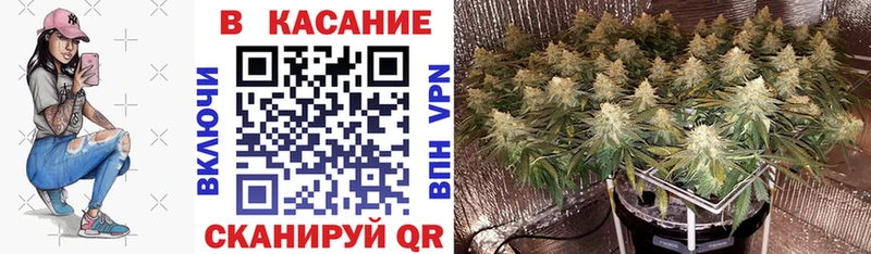 Купить наркотики цена Кольчугино ГАШИШ КОКАИН ЭКСТАЗИ Меф