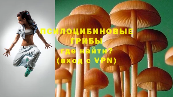 крисы Алексеевка