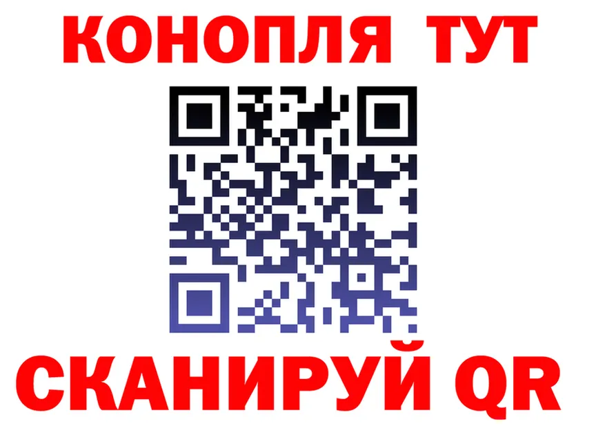АМФ Розовый ТОР это KRAKEN Кольчугино